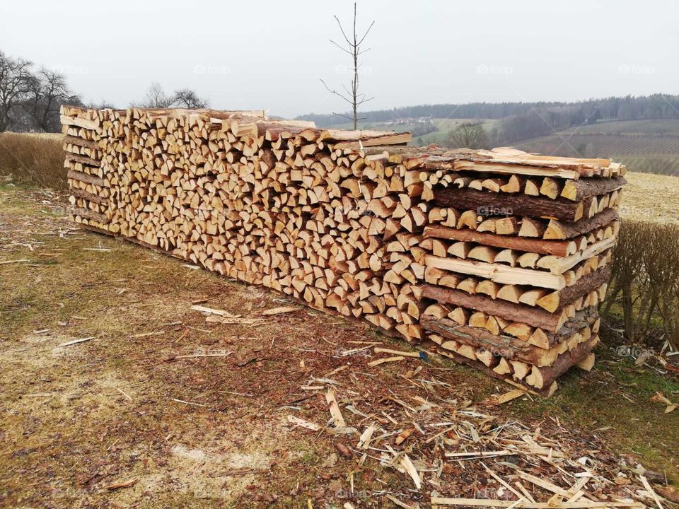 Firewood perfectly arranged