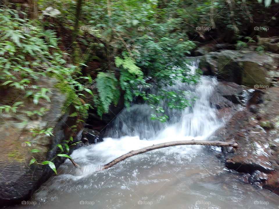 Salgado Filho - Brasil