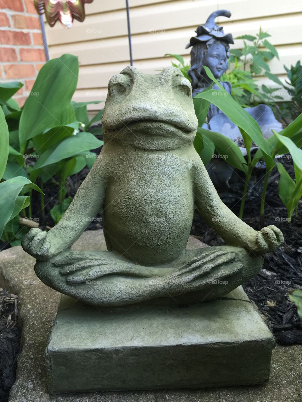 Zen  Frog