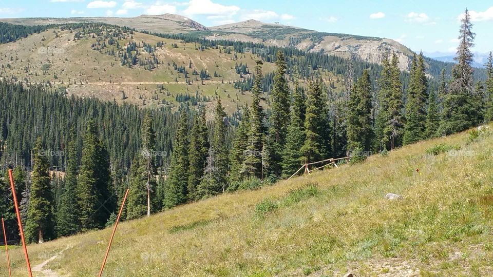 Trail Ridge Road