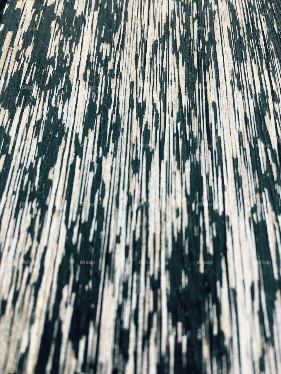 Close-up of textured backdrop