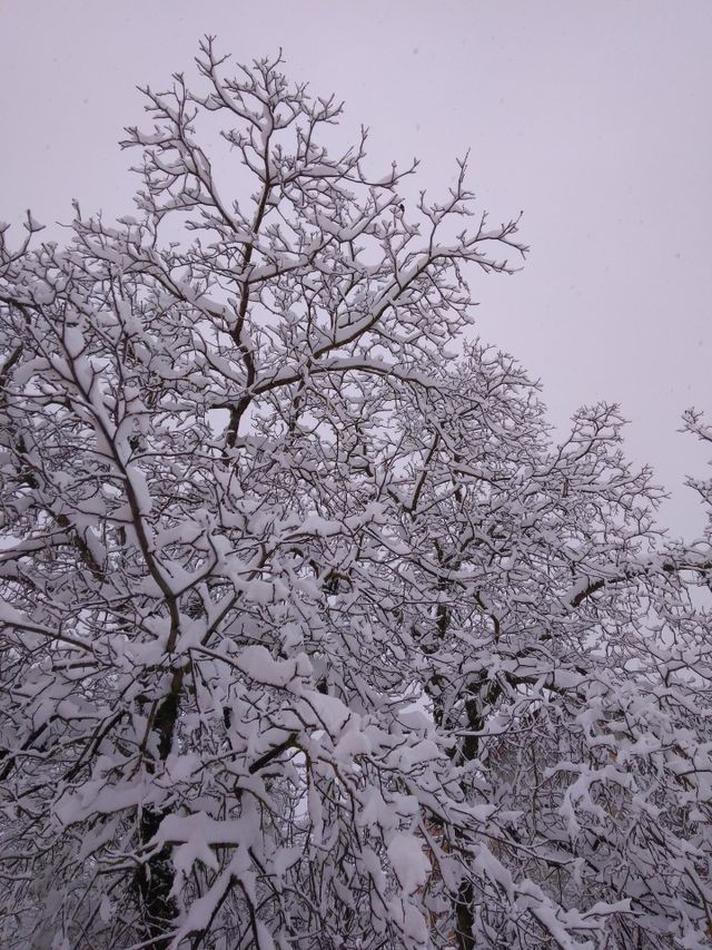 Winter beginnings