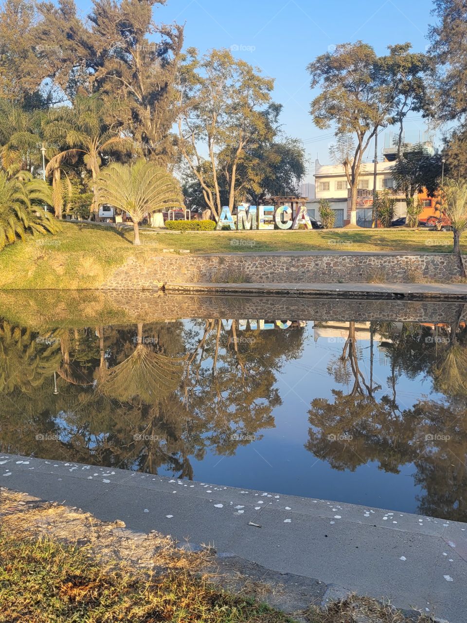 Reflejo