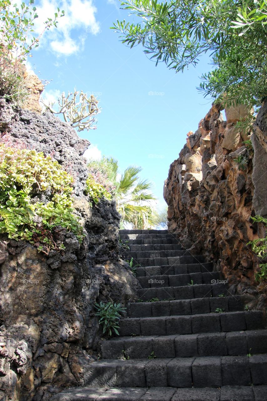 Stone stairs leading up and framed by plants under a cloudy sky