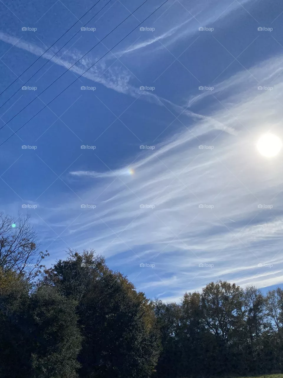 Beautiful sunny day 