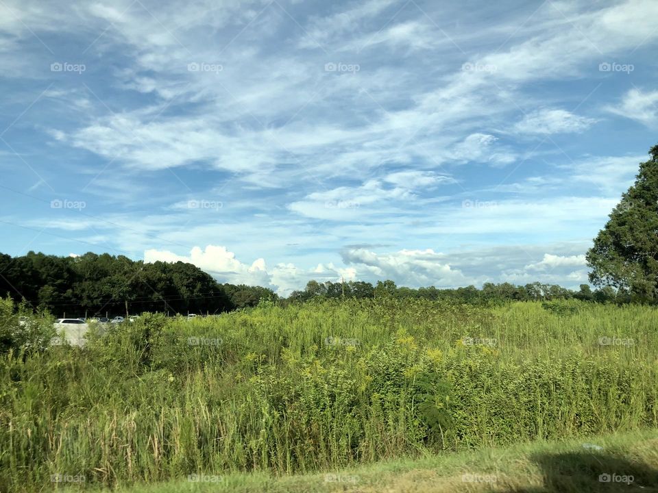 Field in North Carolina with beautiful sky above