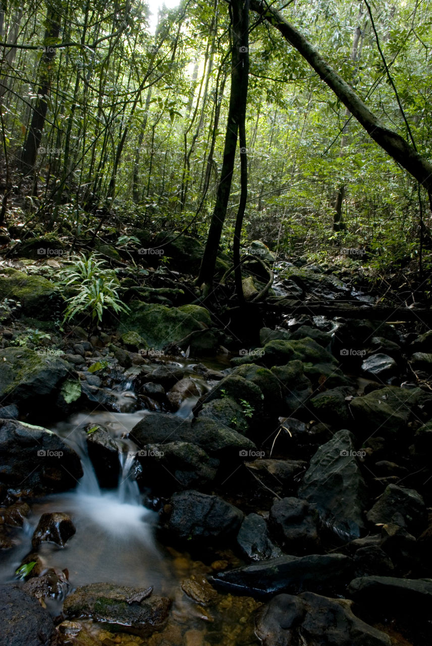 nature water falls