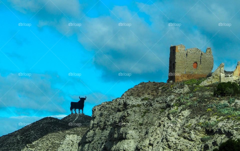 poster of a typical bull on top of a mountain