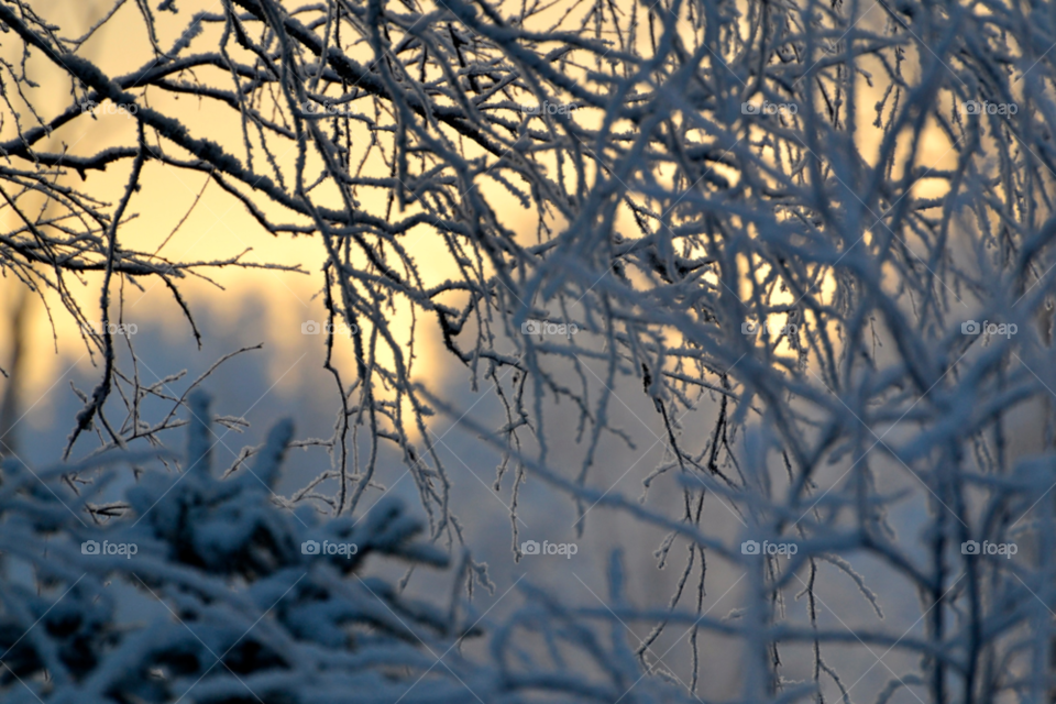 snow winter finland freezing cold by jockec4