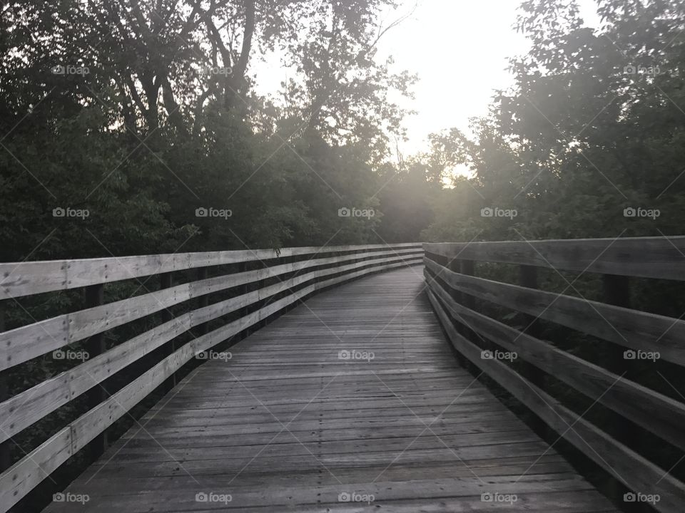 Wood, Tree, Landscape, Bridge, No Person