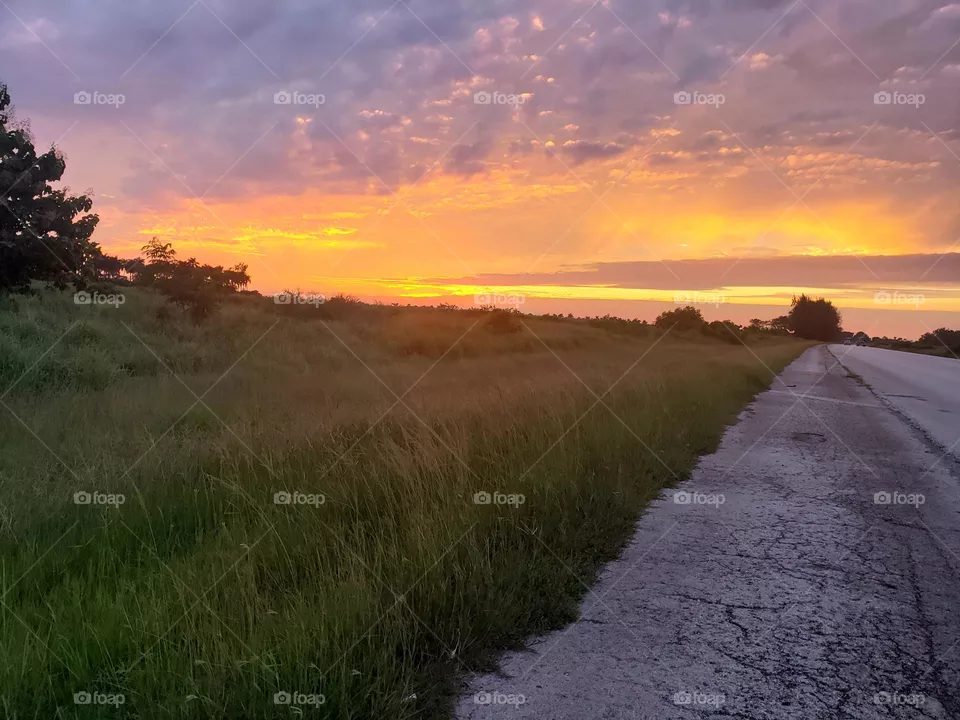 Sunset