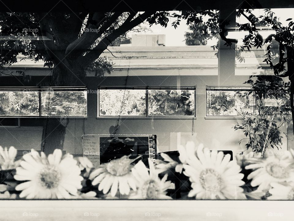 You can see windows from the other building through glass reflections.  