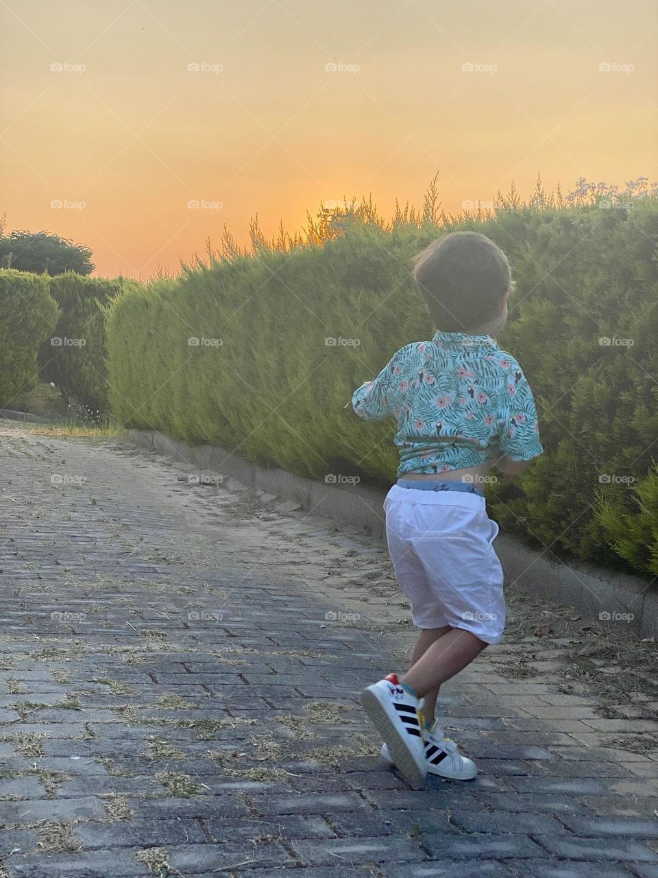 Back view of boy at sunset 