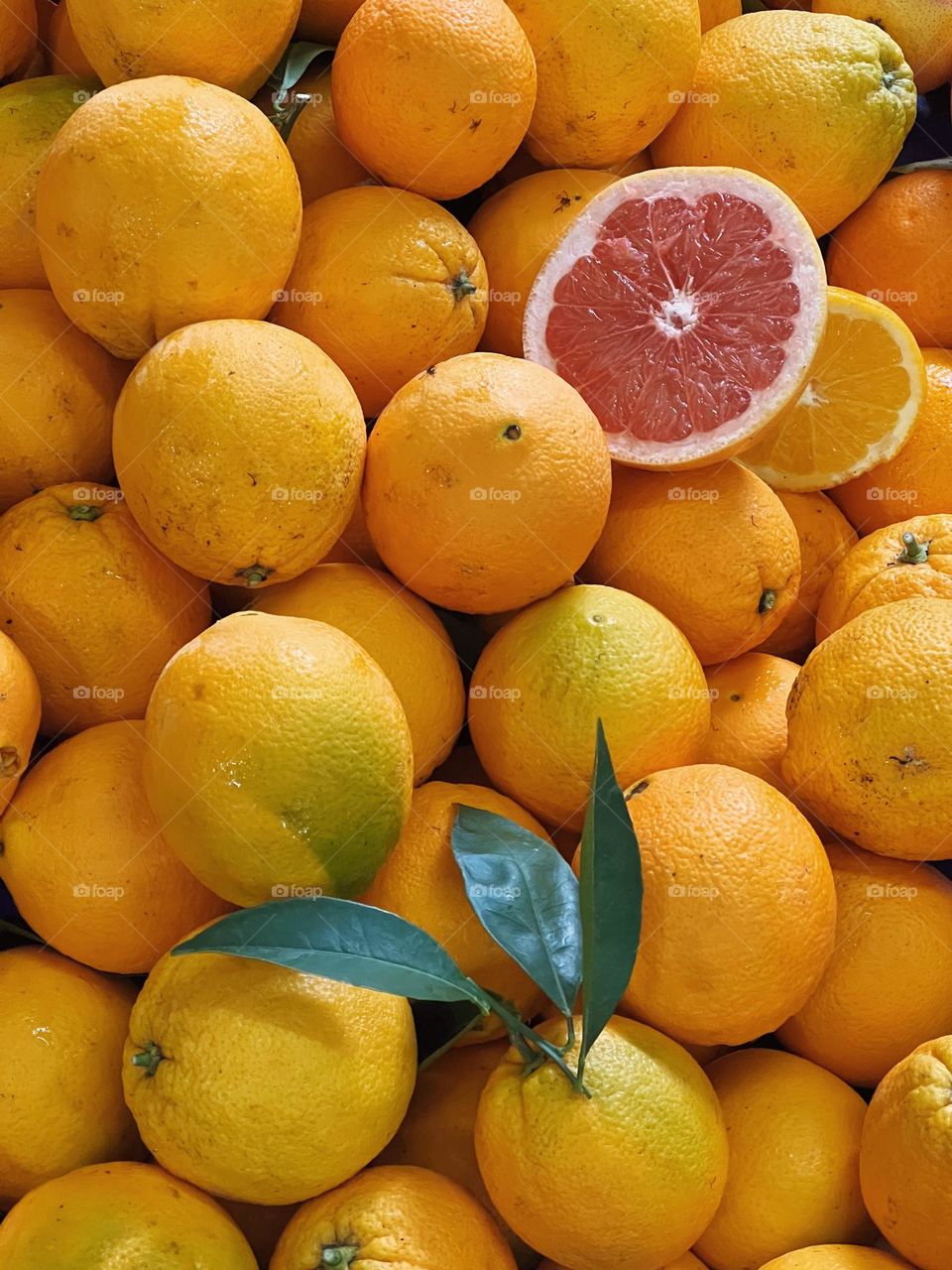 Oranges texture, orange fruits wallpaper 