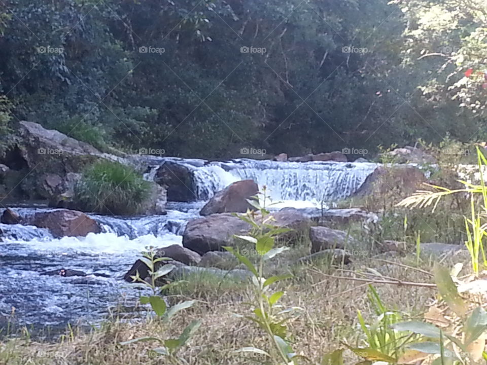 cachoeira