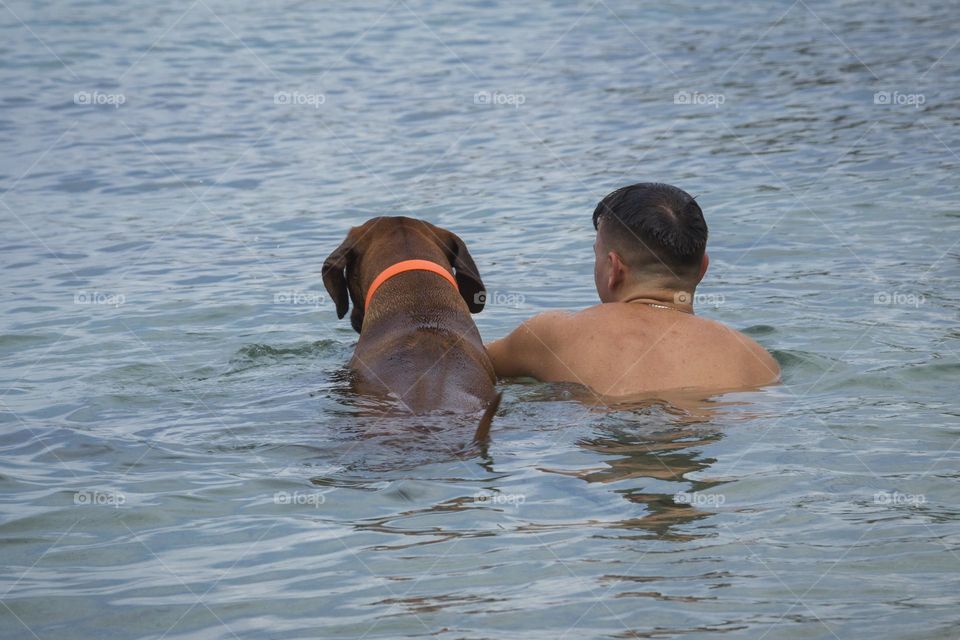 Back view of brown dog and his owner sit in the water of sea and enjoy the sunny summer day