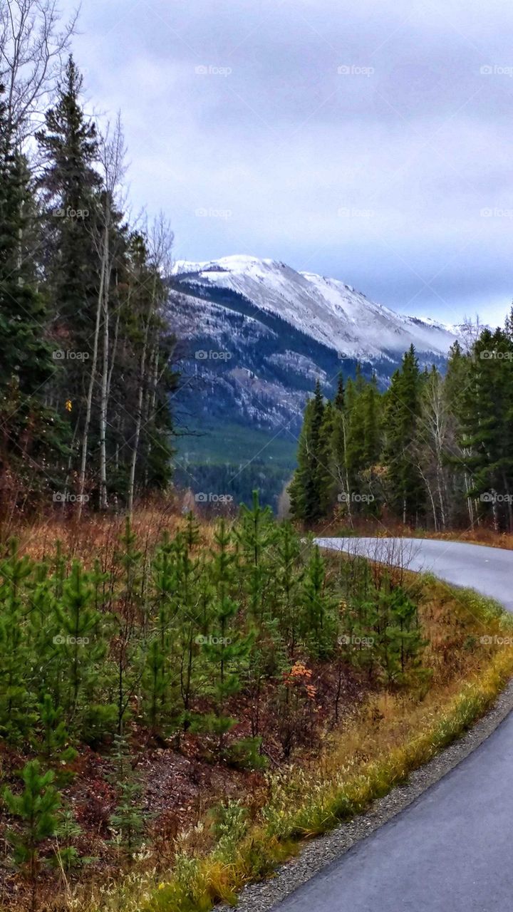 Traveling through beautiful British Columbia's remote mountain forests.