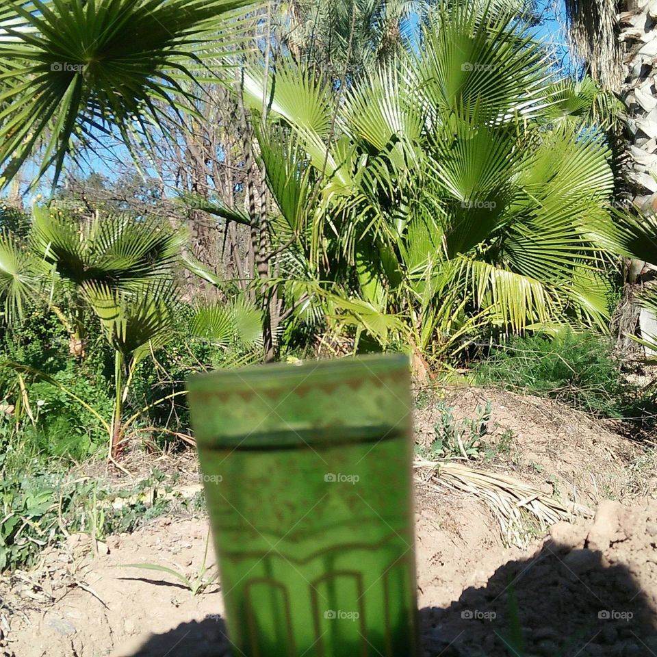 Beautiful green cup in nature.