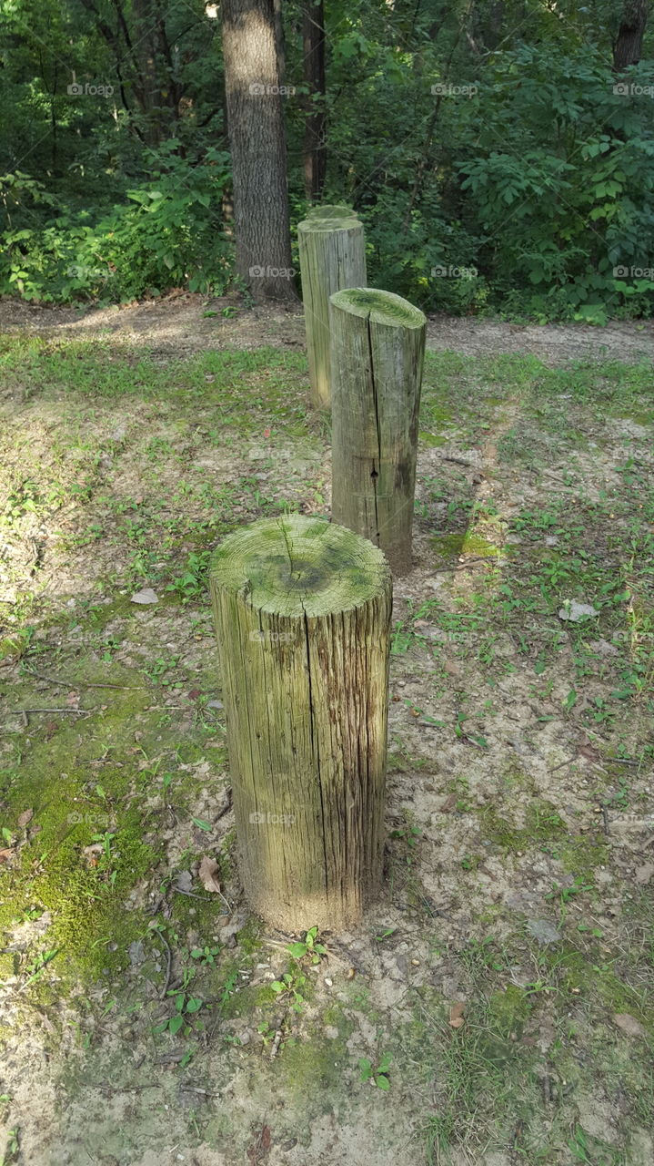 Path markers
