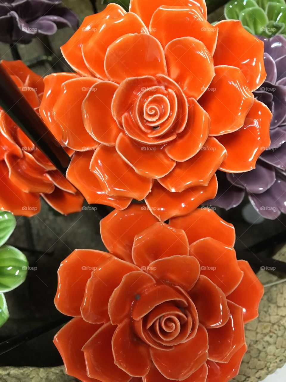 Orange twin flowers 