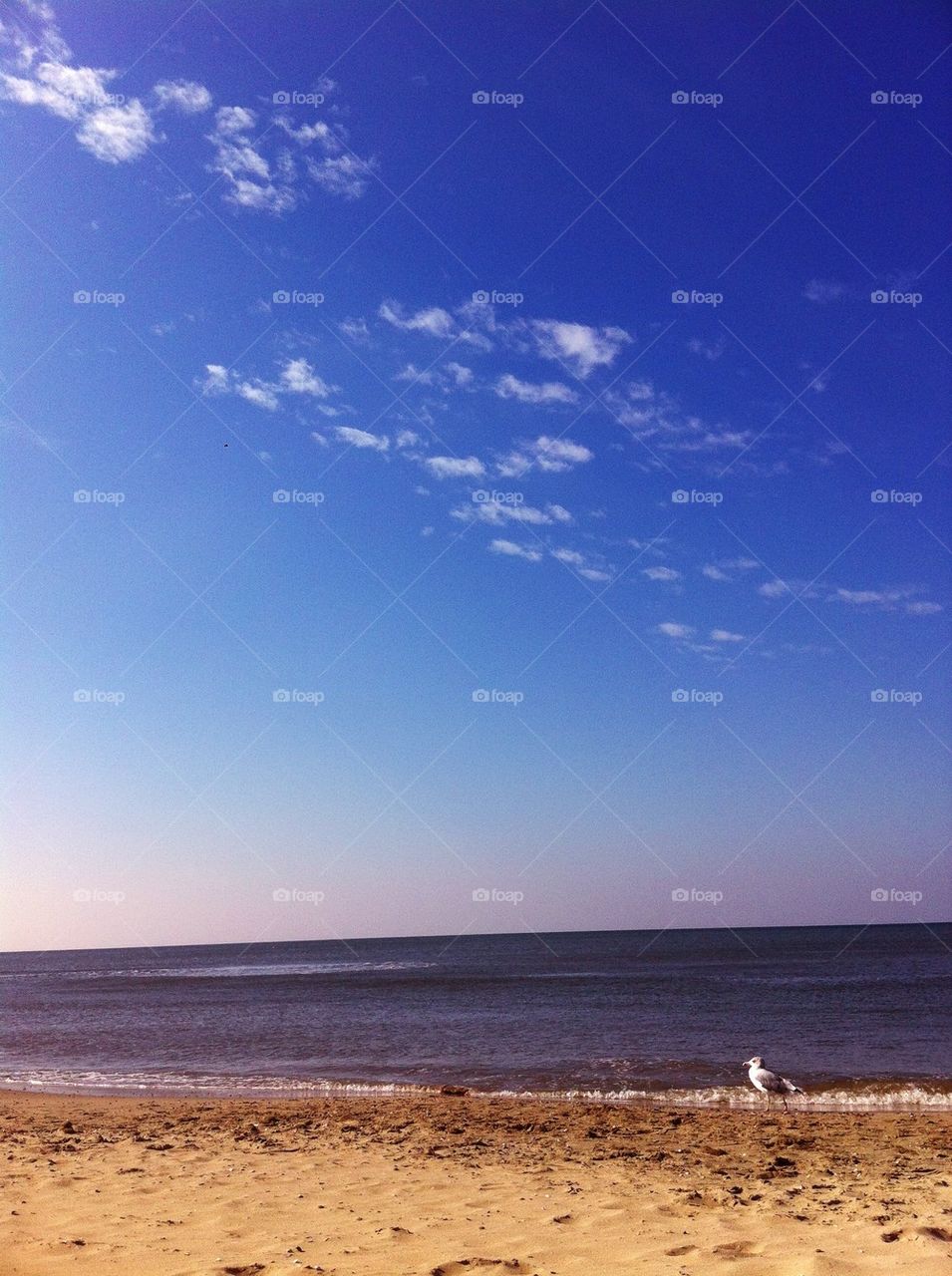 Walking on the beach