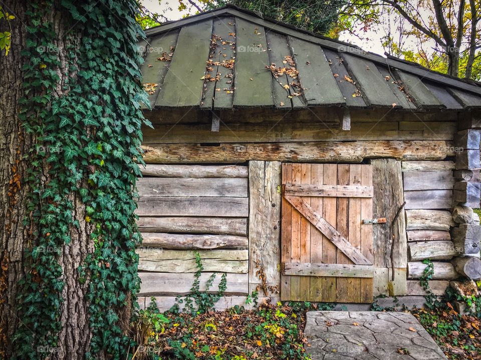 Wooden cabin in the woods surrounded by trees