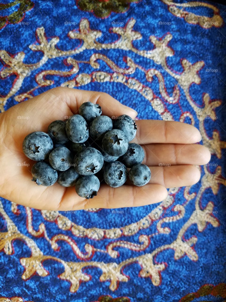 Holding blueberries