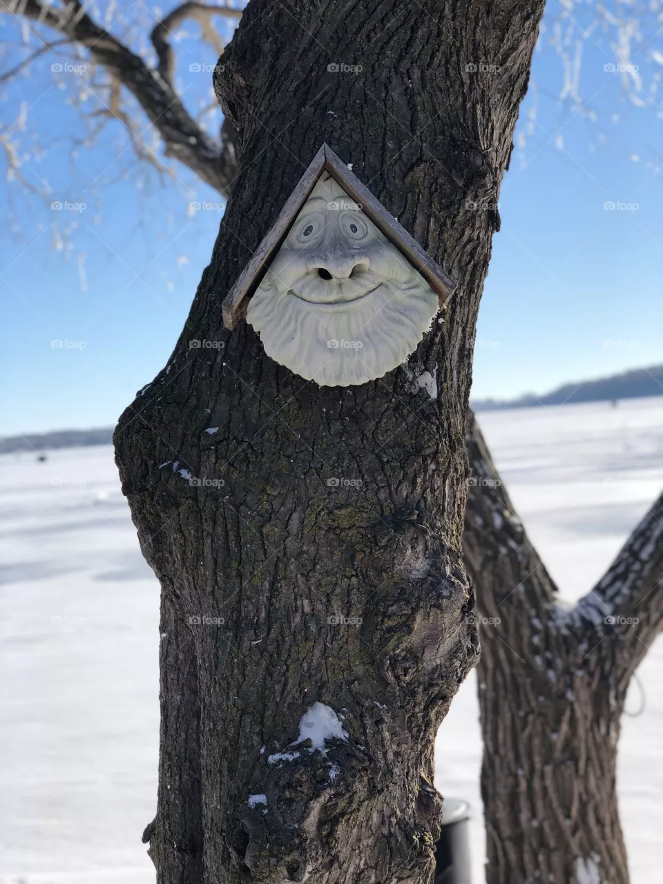 Winter in Minnesota.  Welcoming smile from a wood spirit 
