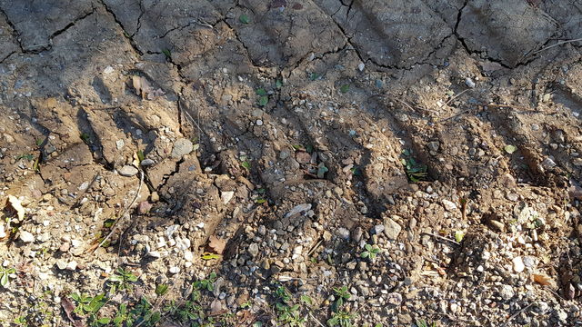 Tractor tracks