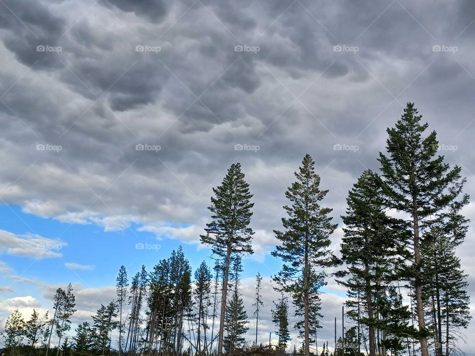 view in the mountains