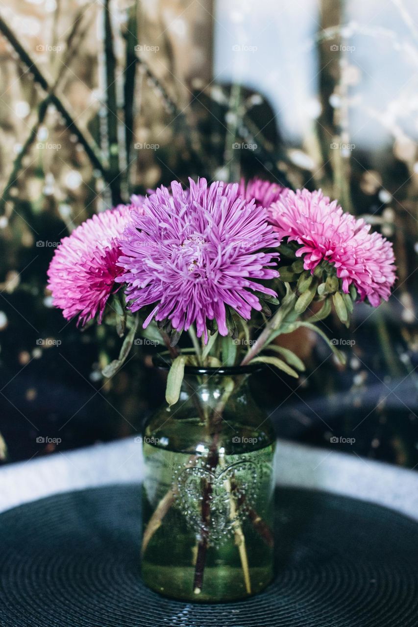 Flowers in vase 