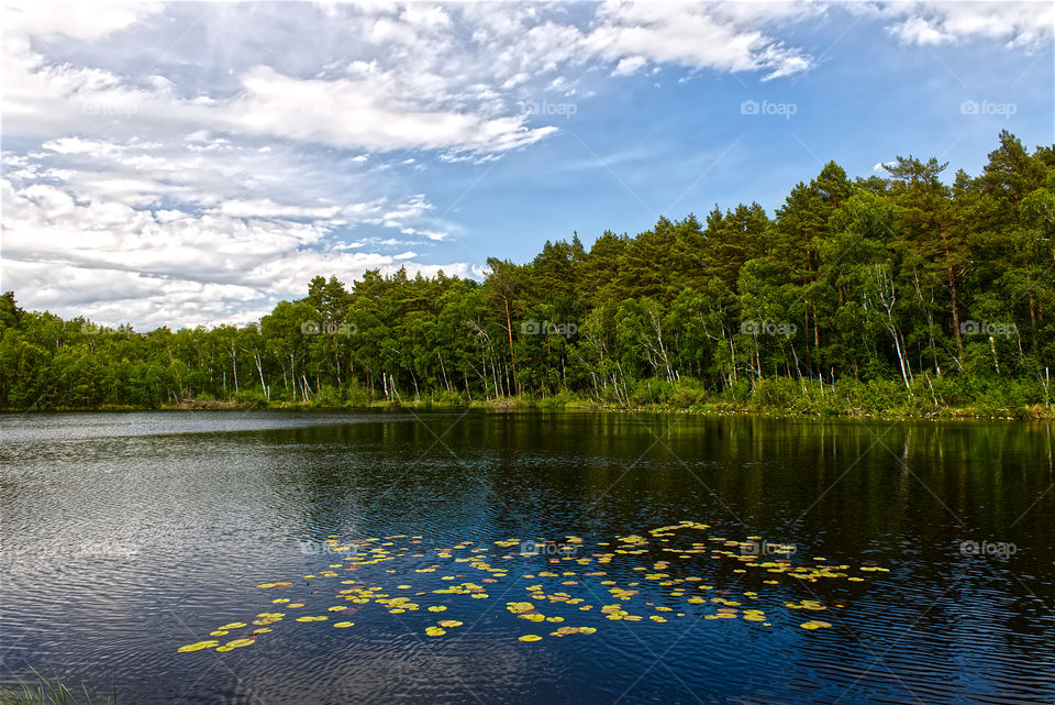 Kleiner Waldsee