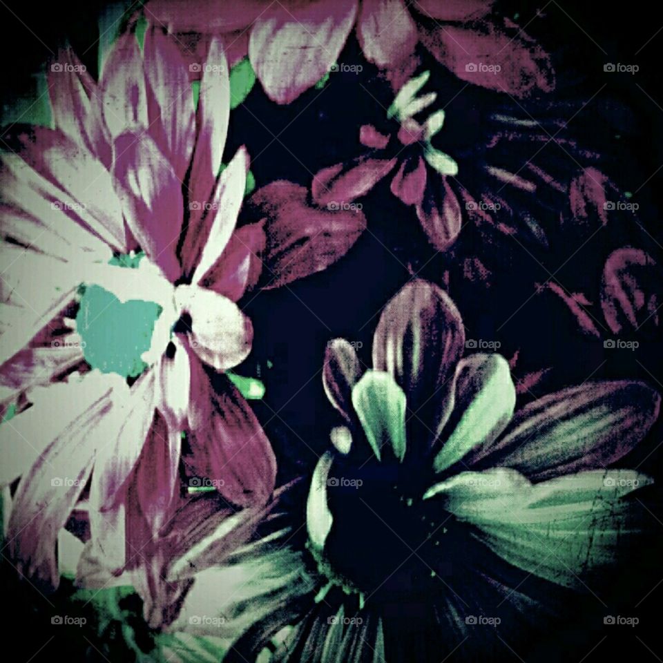 friendship. lighting effects