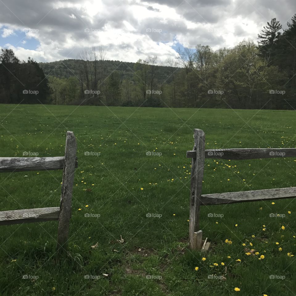 Fence, Landscape, Grass, Farm, No Person