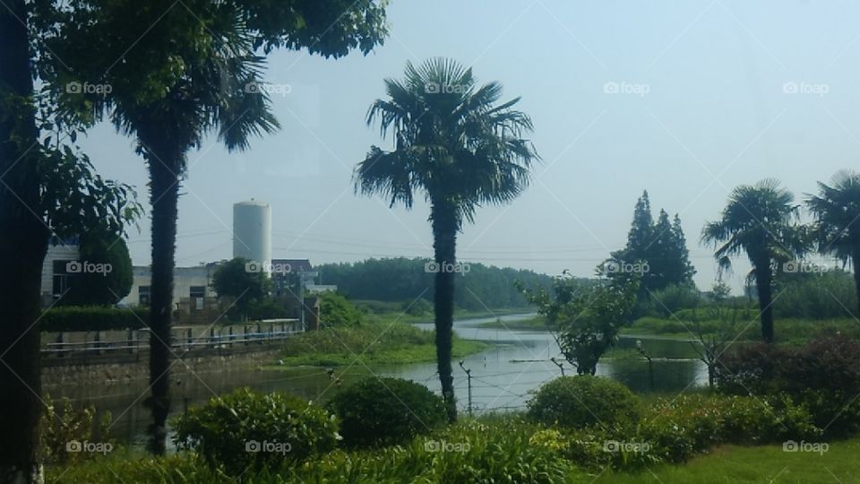 Chinese state-owned enterprises occupy the banks of the river here霸居两岸