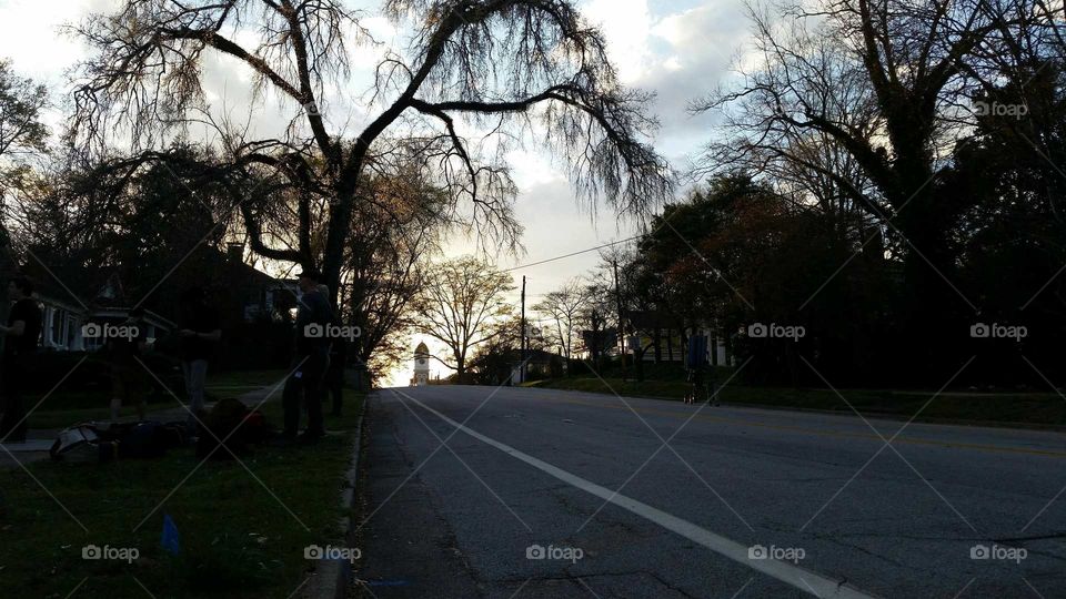 Road, Tree, Landscape, Guidance, Park