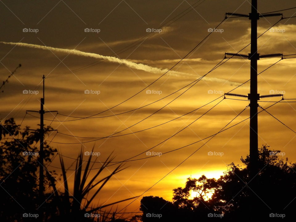 PowerLine at sunset