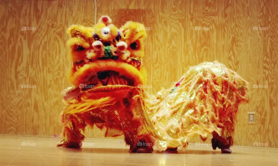 Asian Extravaganza Festival 2017 - 
wu shu kung fu - China