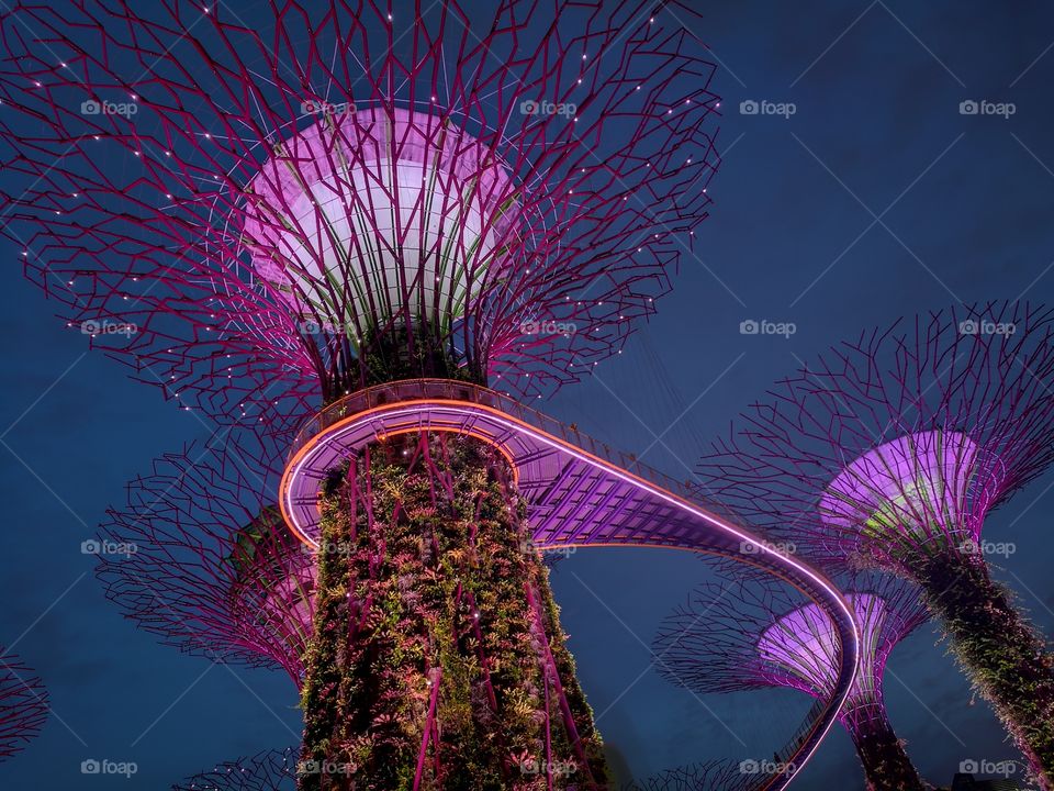 Gardens by the Bay