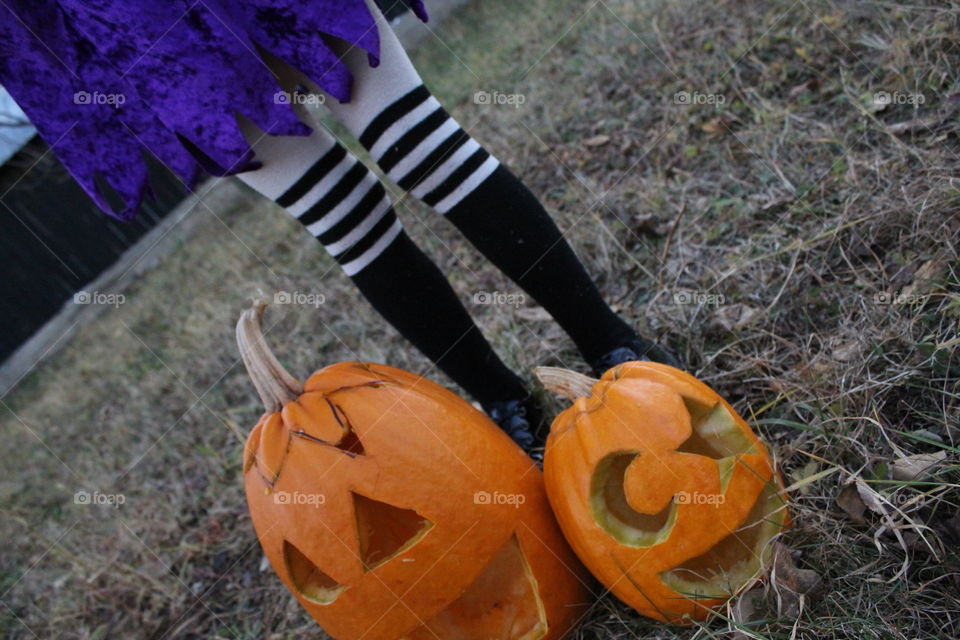 halloween's pumpkin and little witch