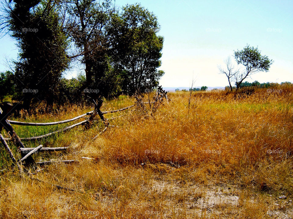 field fence united states by refocusphoto