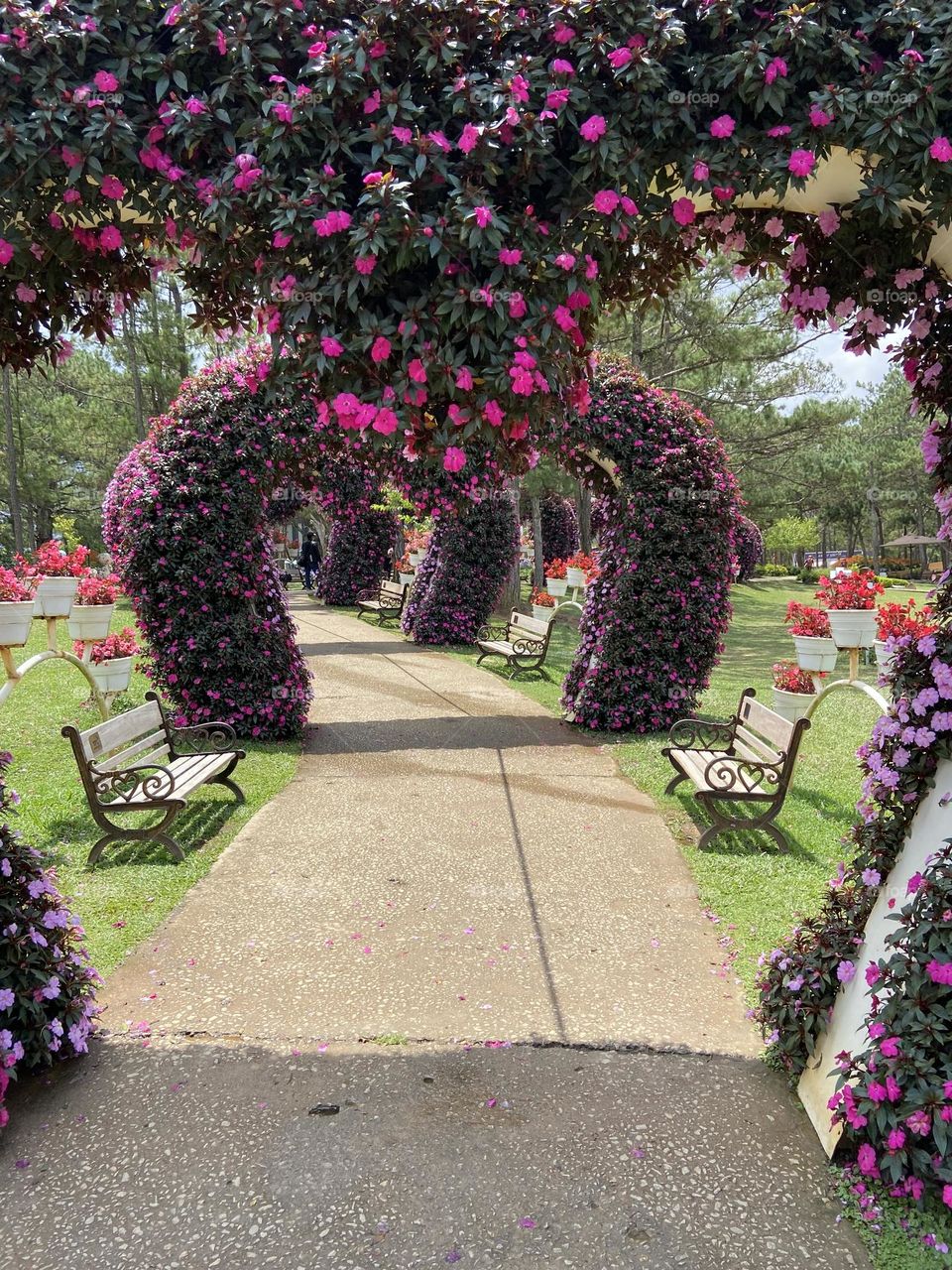 Heart archways in gardens of dalat veitnam 