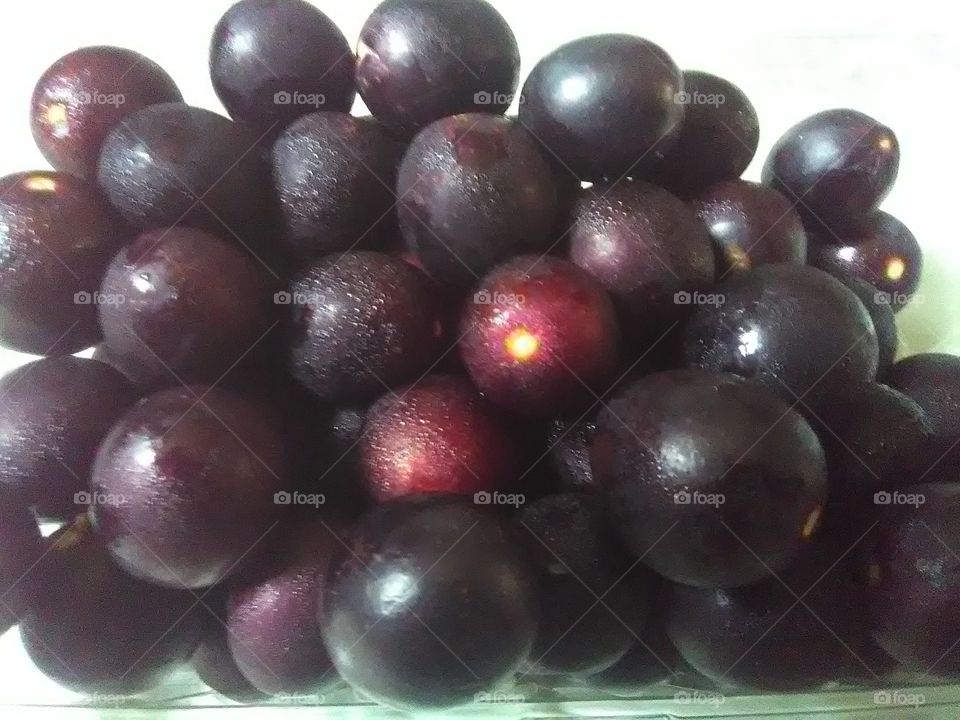 Muscadine Black Grapes