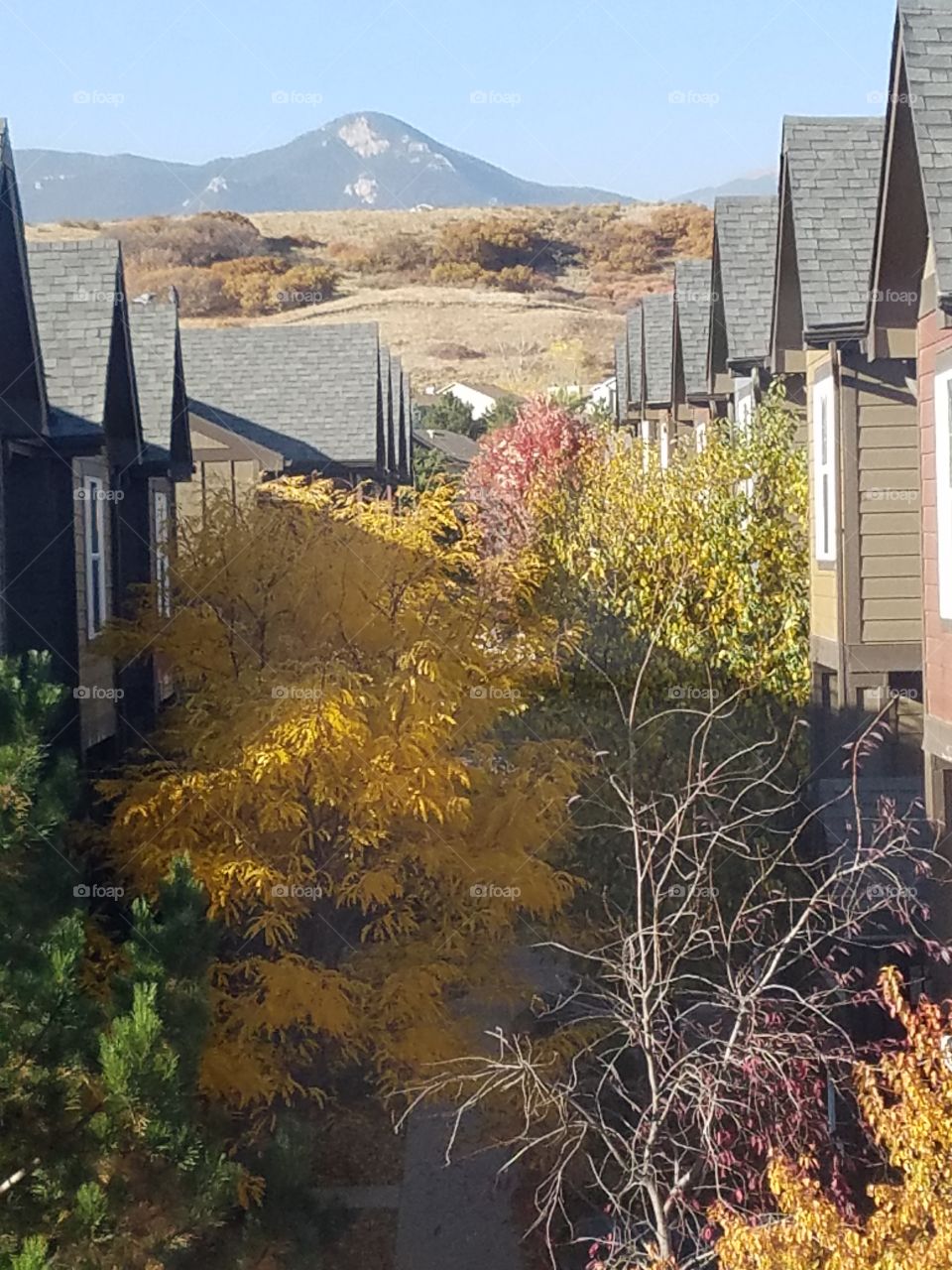 good afternoon and evening!