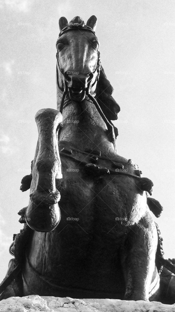 Horse  Statue