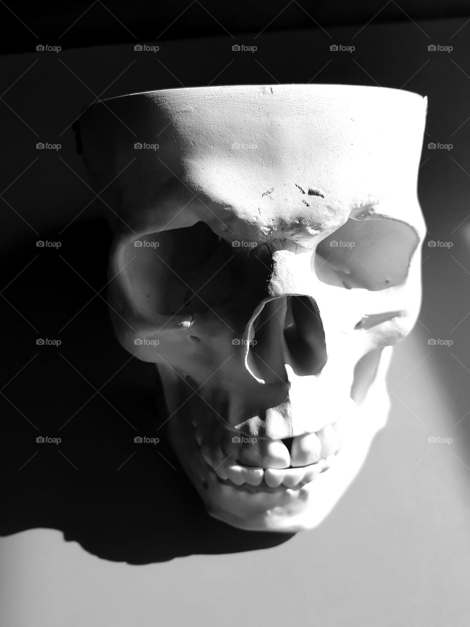 black and white skull