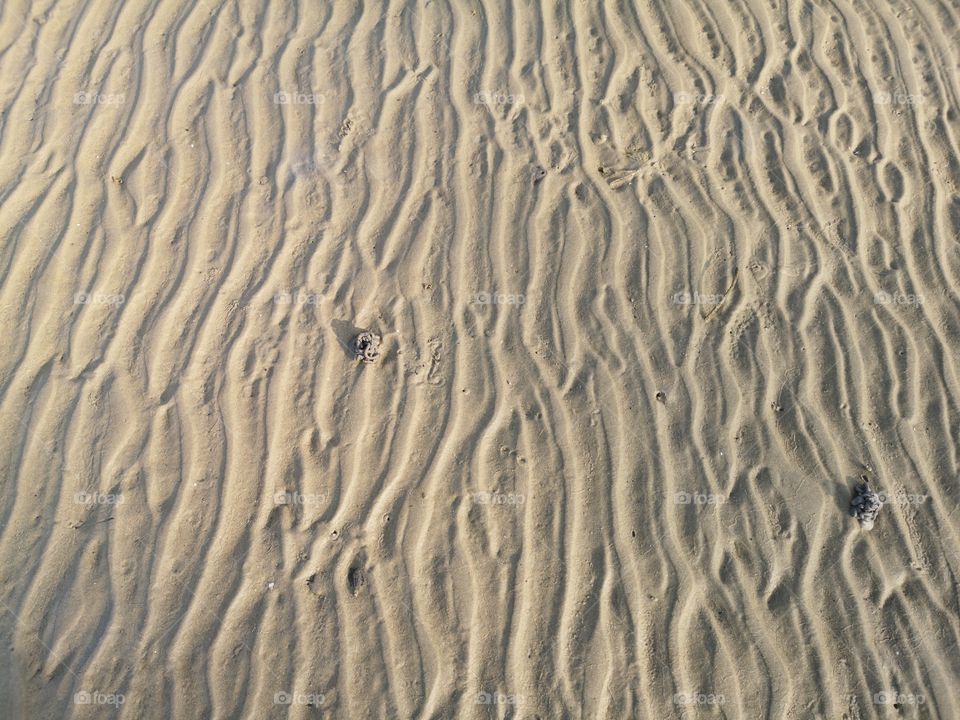 Its a photo of beach sands during low tide, its the seafloor!