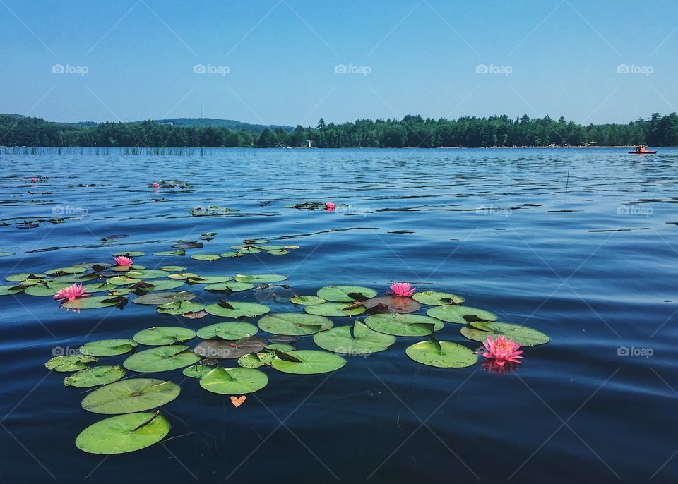 Beautiful Lake in Maine