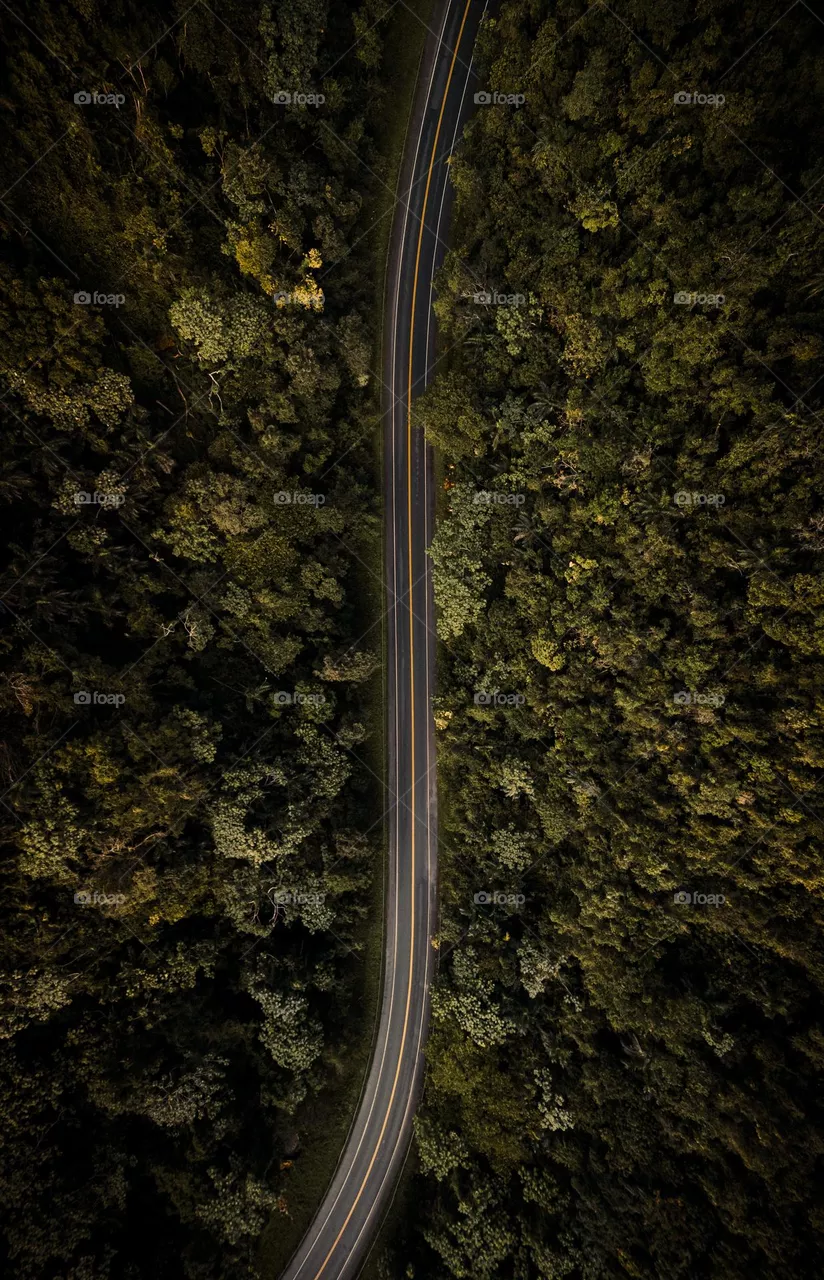 Route