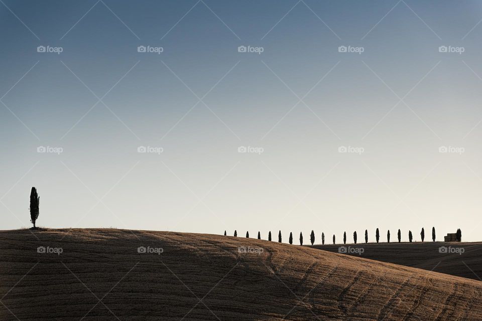 Tuscany landscape